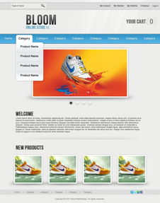 國外優(yōu)秀電子商務(wù)網(wǎng)頁設(shè)計教程與網(wǎng)絡(luò)工程實踐指南